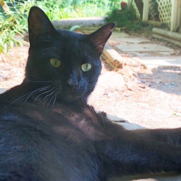 MEET THE WITCH! - Picture 9 of 12